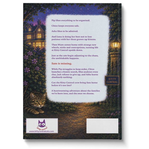 Book 2 Back Mock-up